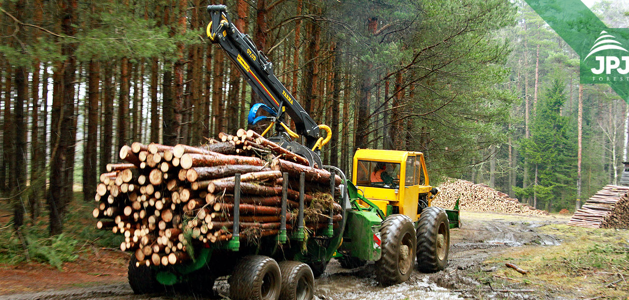 Současná lesnická těžba a přibližování dříví