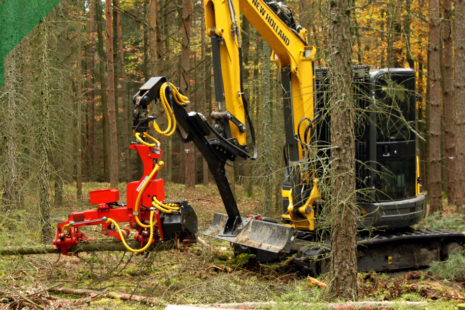 Lesní hospodářství – těžba dřeva