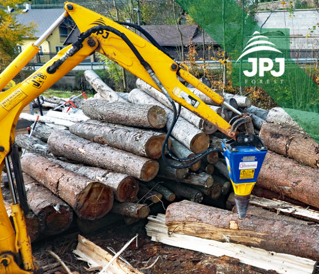 Deitmer a JCB 8018