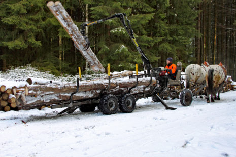 Dotace na lesnickou techniku s PGRLF – 5. kolo příjmu žádostí